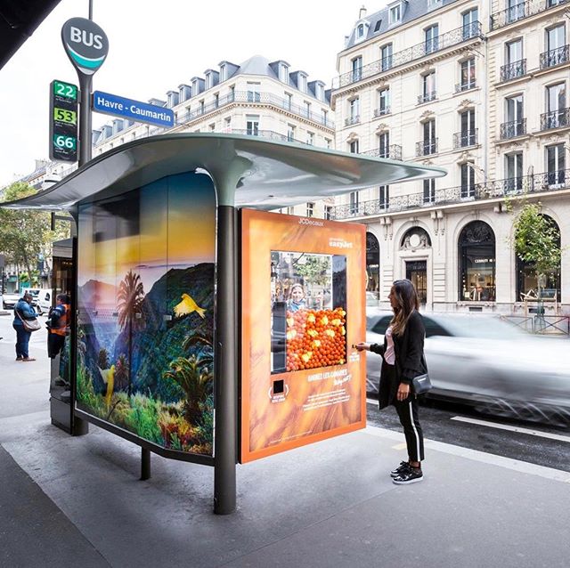 13. Поймайте плюшевую канарейку и выиграйте поездку на Канарские острова!