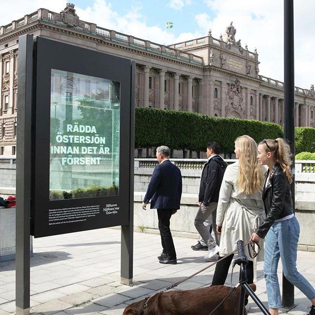 14. Аквариумный рекламный щит, пропагандирующий цветение водорослей в Балтийском море.