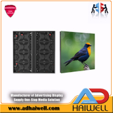 Серия Adhaiwell Luxuria P3.91 | P4.81| P6.25 | P7.81 | P10.42 Элитный | Высококачественные решения для наружных светодиодных дисплеев